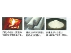 竹焼き塩「極」5袋セット＋ファストザイム10mLサンプル付き (1)